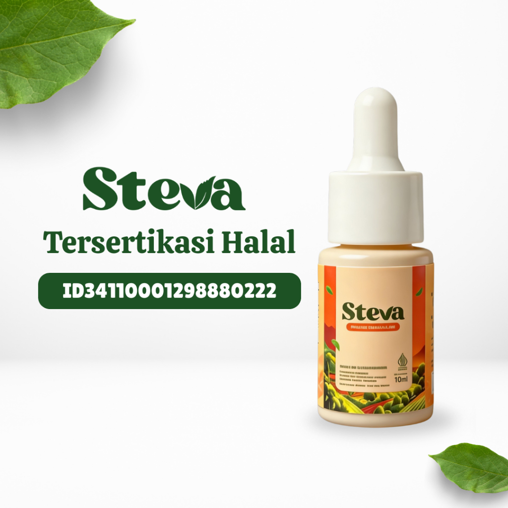 Steva Paket 6